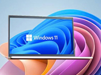 【不忘初心美化版】Windows11 23H2 (22631.5335) X64 无更新[精简版][2.66G](2025.5.19)-卓盛打印机网